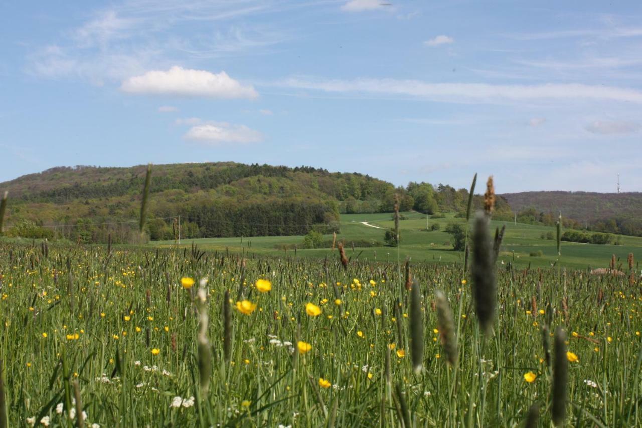 Fewo Litzendorf Exteriör bild